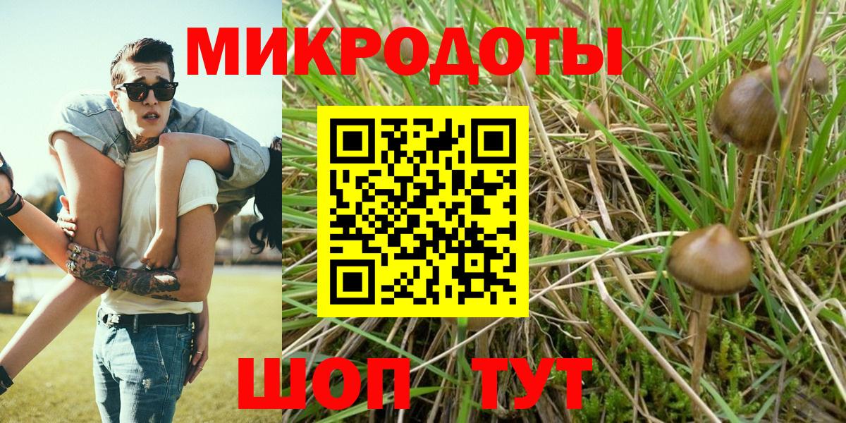 Псилоцибиновые грибы мицелий Каспийск